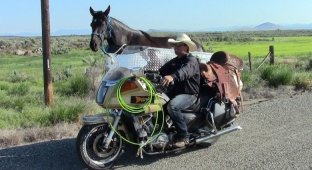 Фермер из Штата Айдахо приспособил мотоцикл для перевозки лошадей (1 фото + 2 видео)