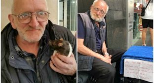 У бездомного из Сиднея украли любимую крысу - полиция города на ушах (8 фото)
