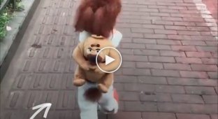 Вирусное видео с бегающей собакой на двух лапках, но не все так мило как кажется на первый взгляд