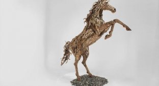 Животные из дерева и металла от скульптора Джеймса Дорана-Уэбба (8 фото)