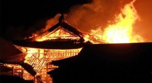 В Японии сгорел замок XIV века, который входил в список всемирного наследия ЮНЕСКО (5 фото)