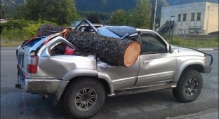 Как правильно за дровами ездить (12 фото)