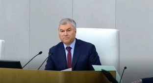 Госдума одобрила проект об обращении к президенту России о необходимости признания ЛНР и ДНР (фото + 2 видео)