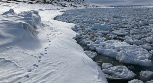 В Арктике открыли новый остров, возникший из-за глобального потепления (1 фото)