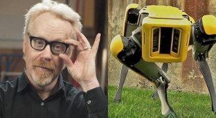 Адам Сэвидж нашёл необычное применение роботу-собаке (4 фото + 1 видео)