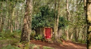 Disney построил настощий дом Винни-Пуха в английском лесу и в нем есть особые правила (3 фото)