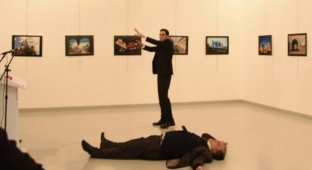К чему не приведет убийство российского посла в Турции