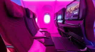 Эконом класс в самолете: революция от Qatar Airways (15 фото)