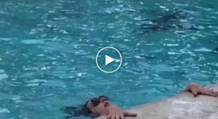 Девушка пытается вылезти с бассейна
