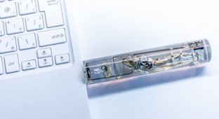 Необычная USB-флешка с селедкой (4 фото)