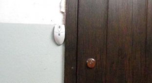 Дверной звонок гика (7 фото)