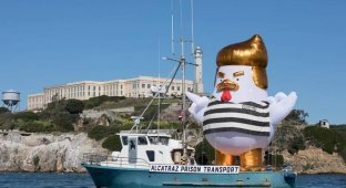 Огромный надувной заключённый цыплёнок-Трамп проплыл мимо Сан-Франциско (1 фото)