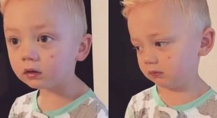 Мама сказала сыну, что съела его конфеты - реакция мальчика умилила даже самых черствых взрослых (3 фото + 1 видео)
