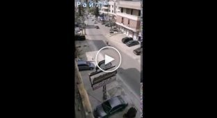 Сбежавший от хозяина арабский скакун проверил на прочность легковушку в Ливане