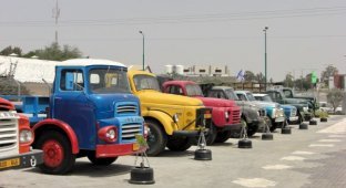 Музей грузовиков и не только (10 фото)