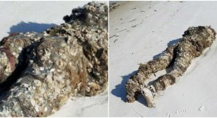 Девушка нашла на берегу океана обезглавленное тело и вызвала полицейских (3 фото)