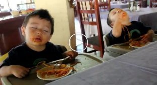 Близнецы любят спать, когда кушают спагетти