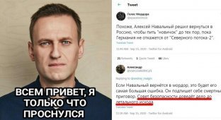 "Леша, заведи личный термос": реакция соцсетей на намерение Навального вернуться в Россию (16 фото)