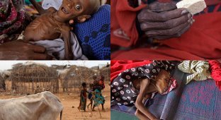 Голод в Восточной Африке (38 фото)