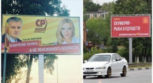 Ульяновские выборы начались с увеличения пениса и скумбрии (5 фото)