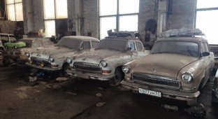 Под Великим Новгородом полтора десятка советских автомобилей пылятся в старом цеху (10 фото)
