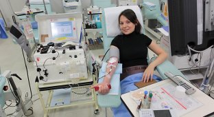 Донорство крови в Японии глазами иностранца (10 фото)
