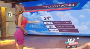 Ведущая прогноза погоды Янет Гарсия покорила сердца миллионов зрителей (33 фото)