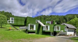 Зеленый дом в Австрии (17 фотографий)