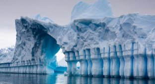 20 невероятных фактов об Антарктиде, которые знают не многие (21 фото)