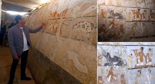 Египетские археологи нашли гробницу возрастом 4400 лет (16 фото + 1 видео)