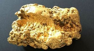 Денег хватит до конца жизни: австралийский пенсионер нашел на пастбище золотой самородок весом 2 кг (6 фото)