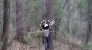 Как правильно залезть на дерево
