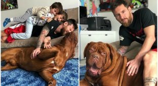 Лео Месси поделился новым домашним фото с сыновьями и псом Халком (6 фото)