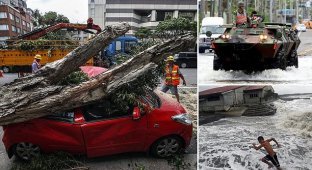 Стихия беспощадна: на Тайване в результате мощного тайфуна пострадали более 100 человек (10 фото + 1 видео)