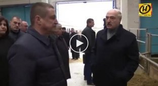 Александр Лукашенко снял с должности губернатора Владимира Доманевского после посещения агрохолдинга
