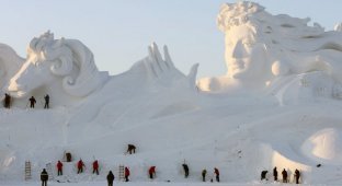 Подготовка к Международной выставке снежных скульптур (8 фото)