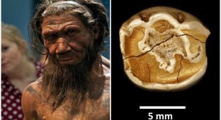 Ученые выяснили, что общего у детей неандертальцев и современных младенцев (7 фото)