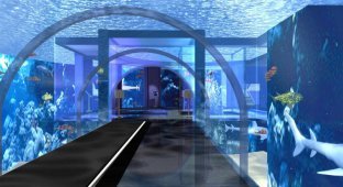 Аквариум Генуи: подводный мир на расстоянии руки (9 фото)