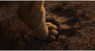 Свежий полноценный трейлер киноадаптации "Короля Льва" (2 фото + 1 видео)