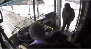 Мужчина несколько раз ударил водителя автобуса кирпичом (2 фото + 2 видео)
