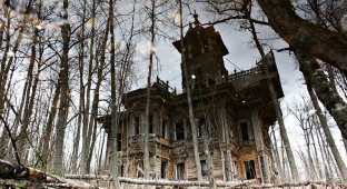 Два удивительных затерянных дома в Костромской области (16 фото)