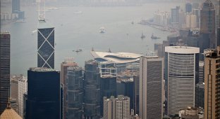 Гонконг с Пика Виктория (14 фото)