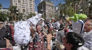 Сотни людей вышли на массовое побоище подушками (16 фото)