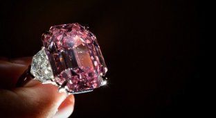 Розовые бриллианты входят в моду (4 фото)