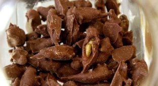 Хрустящие шоколадки от азиатских кулинаров (13 фото)