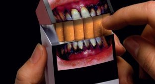Курить теперь станет ещё страшнее: с 15 ноября ужесточили требования к пачкам сигарет (6 фото)