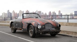 Сгнивший кабриолет Aston Martin 1952 года купили за внушительную сумму (6 фото)