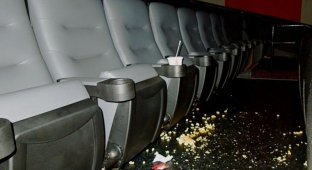 Залы кинотеатров после свинозрителей (0 фото)