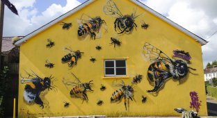 Спасение пчел посредством стрит-арта (11 фото)