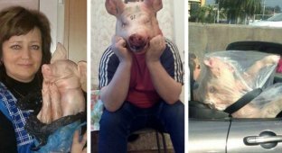 Подложи родственникам свинью на Новый год: необычные идеи подарков (23 фото)